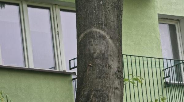 aparitie misterioasa credinciosii cred ca e chipul lui isus preotii cred ca seamana cu conchita wurst