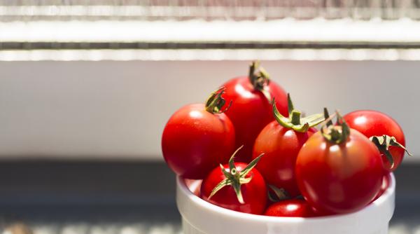 de ce nu e bine sa tii rosiile in frigider o mare greseala