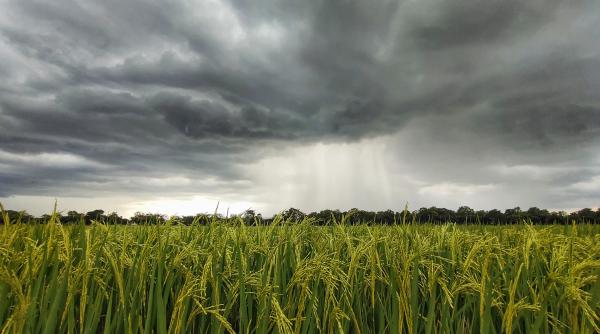 alerte meteo de ultim moment 21 mai 2023 pentru ce zone a fost emis cod galben de catre anm