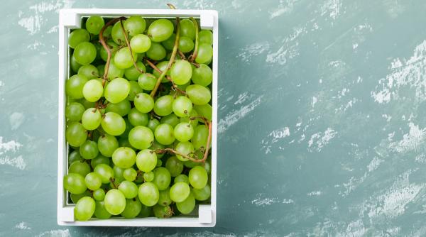 ce a gasit o femeie in caserola cu struguri i a pierit pofta instant