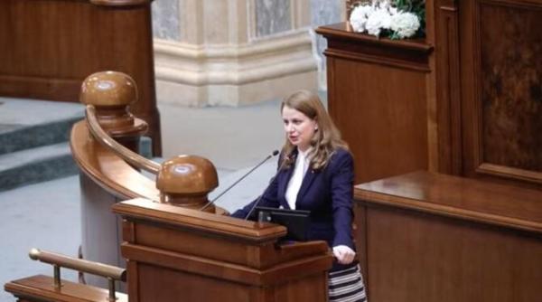 scandal la senat se voteaza legile educatiei ligia deca se spala pe maini de salariile profesorilor nu sunt in legile educatiei video