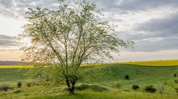 se schimba vremea prognoza meteo pe o luna 22 mai 19 iunie
