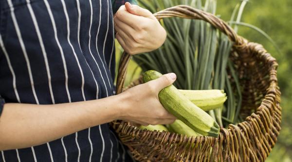cu ce sa uzi dovleceii pentru a avea o recolta bogata