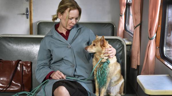 cannes 2023 refugiu sigur muzica si cinefilia