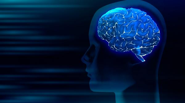 epilepsia cea mai frecventa boala neurologica la copii medic pana la 10prc din populatie va avea o criza in timpul vietii