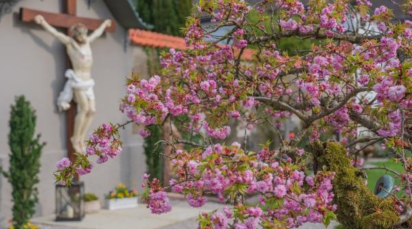 calendar crestin ortodox sarbatoare 26 mai 2023