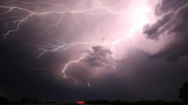 furtuna a facut prapad in bucuresti si ilfov 6 copaci doborati 7 masini distruse