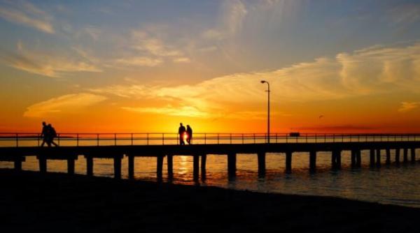 cerere scrisa pentru tichetele de vacanta e abominabil ca nu s a revoltat nimeni nu s a dus nimeni sa l ia pe rever pe caciu