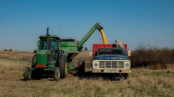 ucraina isi vrea cerealele in ue fara niciun control cere comisiei europene liberalizarea completa a importurilor