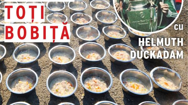 helmut duckadam gateste pentru 550 de caini fara familie