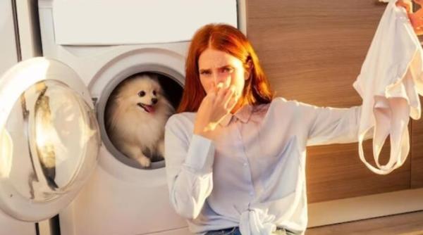 masina de spalat va fi ca noua gospodinele cu experienta folosesc un singur produs