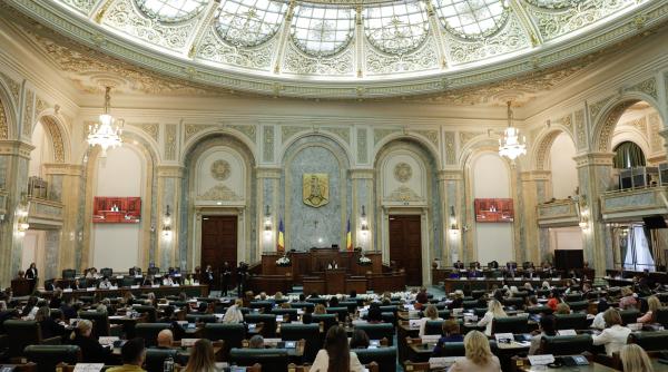 psd a depus la parlament un proiect de lege de eliminare a pensiilor speciale ale parlamentarilor anunta simonis