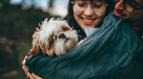 cainii isi amintesc de stapani dupa mult timp