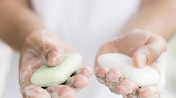 ce sapunuri te tin departe de tantari