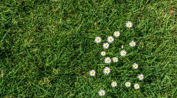 finantare de 70 000 euro pentru tinerii fermieri