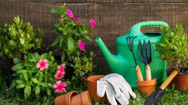 pudra care protejeaza plantele impotriva bolilor si a daunatorilor se afla in camara ta