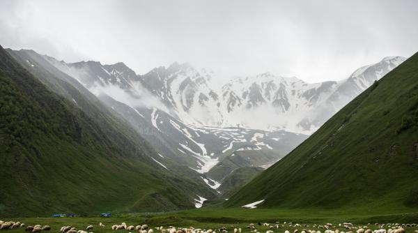 fetita de 10 ani gasita in viata dupa ce si a petrecut noaptea in muntii