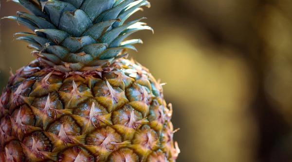 de ce ne sangereaza gura uneori dupa ce mancam ananas