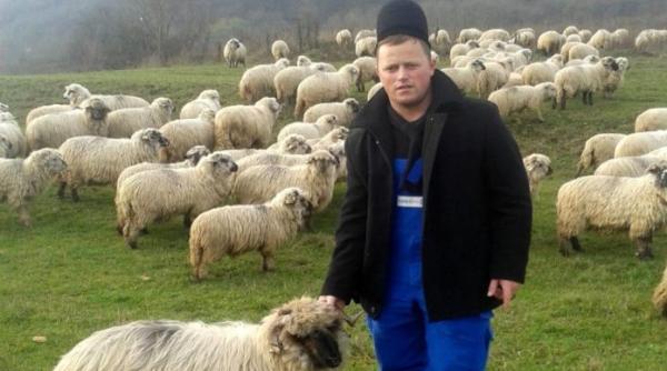 ghita ciobanu vedeta din reclamele tv a fost jefuit i au fost furate 9 oi