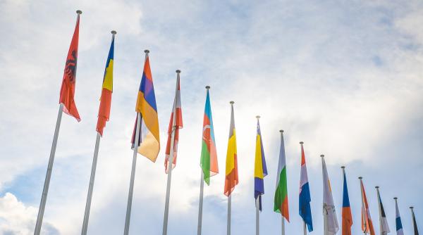 consiliul europei ii cere ucrainei suspendarea legii anti oligarhi provoaca ingrijorari grave