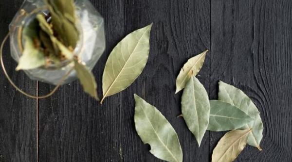 inainte sa iesi din casa pune o frunza de dafin in toaleta rezultatul te va surprinde