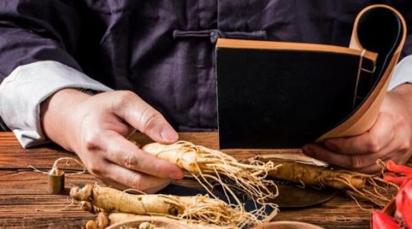 ginsengul radacina tineretii cum se utilizeaza si care sunt contraindicatiile