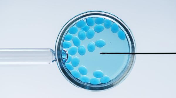 au fost creati primii embrioni umani sintetici