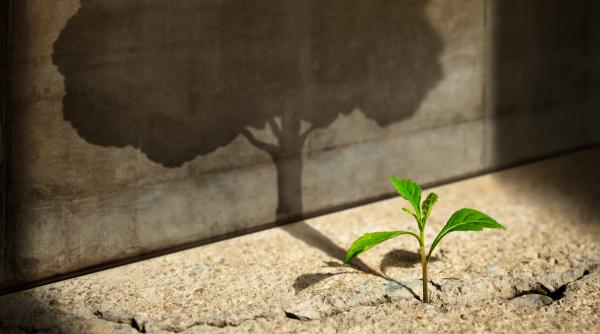 muncim cu drag si spor pentru ceva care va aduce roade evenimente importante si schimbari urmari ale lui jupiter sextil