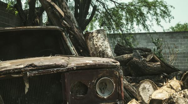 furtuna puternica a facut ravagii in capitala mai multe masini au fost distruse de copaci doborati de vant