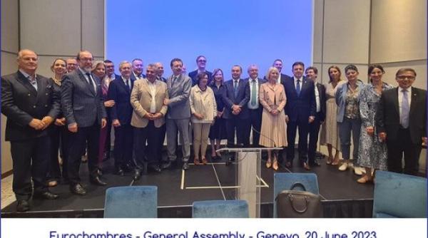 mihai daraban spune ca la nivel european camerele de comert au nevoie de un cadru legal unitar