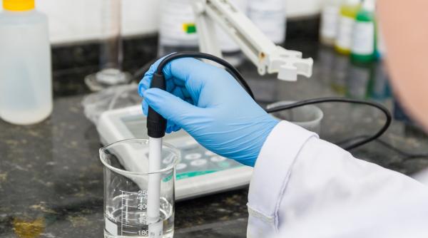 probele de apa si peste din marea neagra in parametri normali nu e risc de holera