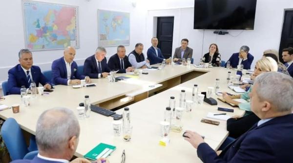 sedinta decisiva in pnl cu noii ministri liberali
