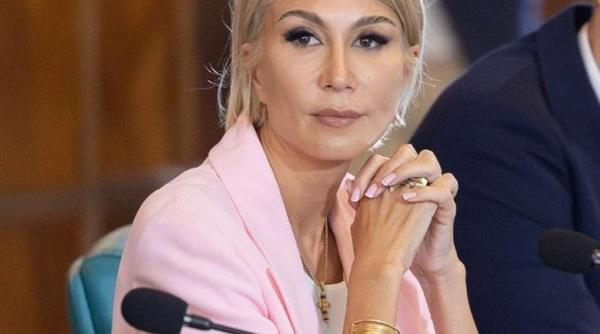 ministerul culturii vrea sa deschida oficiul de film si investitii culturale cu ce se va ocupa institutia