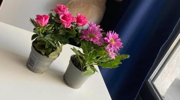 mesajul kaufland de pe ghivecele cu flori ne cred prosti care este de fapt realitatea foto