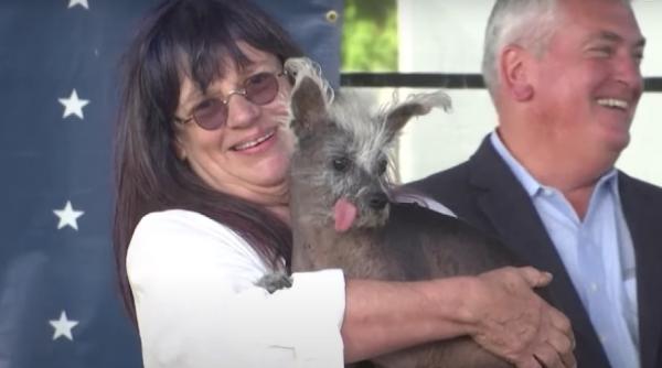 cum arata cel mai urat caine din lume scooter a luat titlul de campion si in 2023