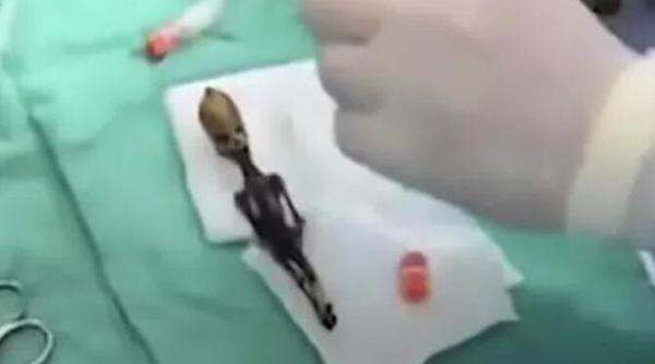 misterul ata mumia extraterestrului descoperita in chile