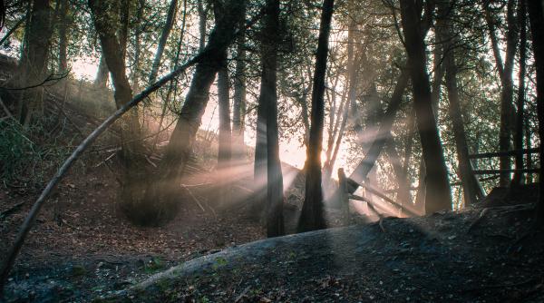 locul din romania despre care se crede ca ar fi un portal spre alta lume unde se afla padurea de argint