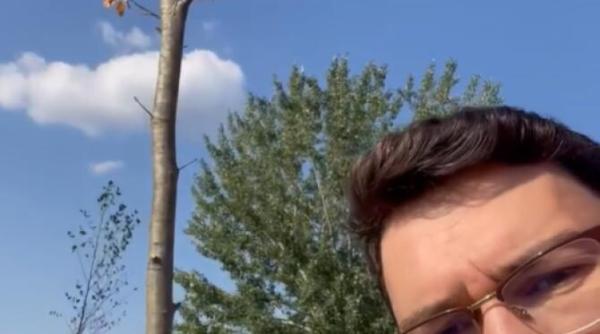 clotilde armand acuzata ca sparge banul public sectorul 1 plin de copaci uscati care pun in pericol viata oamenilor video