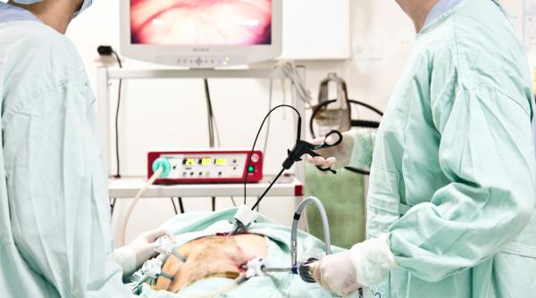 cum se depisteaza cancerul colorectal in romania educatia rol important in preventie romania cifre peste media europeana unde se gasesc si cum se fac testele