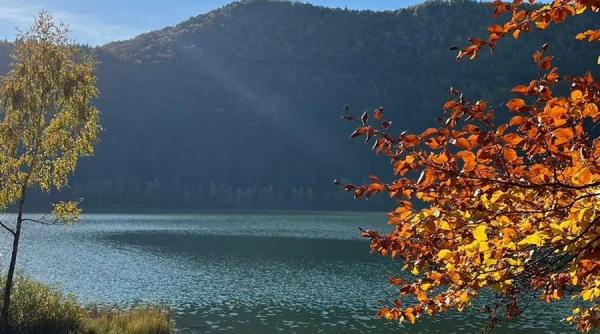 turistii care vin la lacul sfanta ana nu mai au voie sa aiba bagaje la ei masura menita sa reduca interactiunea cu ursii