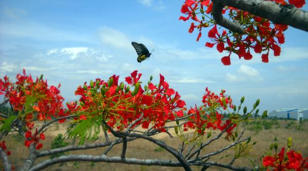 calendar crestin ortodox sarbatoare 6 iulie 2023