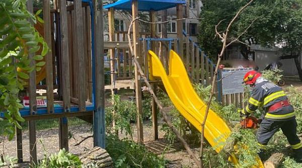 un copil de 10 ani a fost ranit intr un loc de joaca din suceava dupa ce un copac s a rupt si a cazut peste el