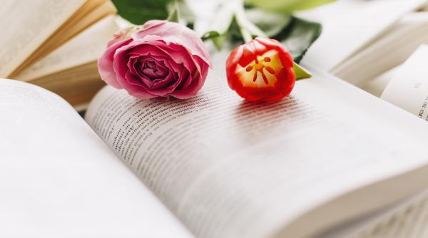 calendar crestin ortodox sarbatoare 12 iulie 2023 cruce neagra