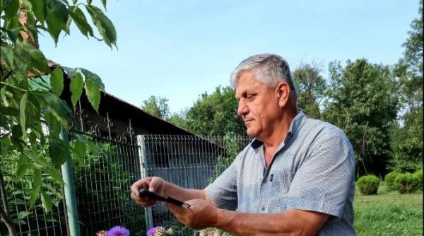 plantele din locuinta care purifica aerul cercetator roman atentie multi avem aceasta planta in casa dar este foarte toxica