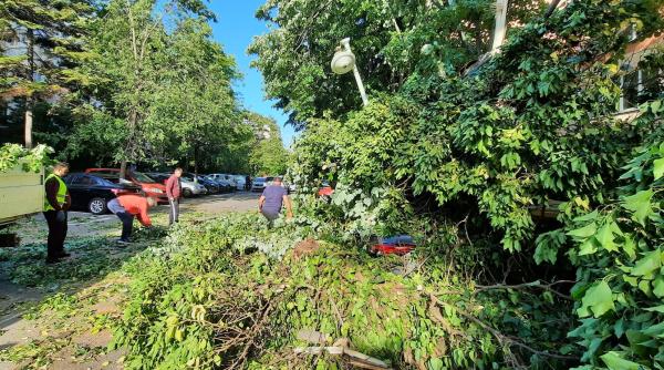 zeci de copaci au cazut in bucuresti in timpul furtunii ciucu acuza primaria capitalei ca nu avizeaza defrisarile si toaletarile necesare foto