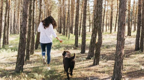 activitatile zodiilor in weekend idei si recomandari pentru fiecare nativ