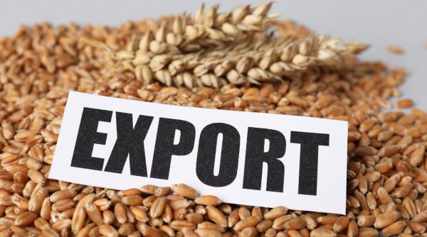 transportul cerealelor in contextul razboiului din ucraina dezbatut la varsovia ministrul agriculturii din romania este prezent