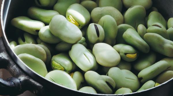 de ce pitagora nu manca niciodata fasole