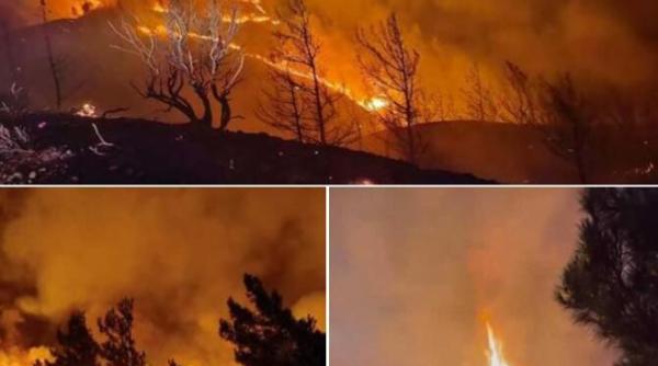incendiile de vegetatie din insula rodos tot mai greu de controlat autoritatile cer disperate ajutor