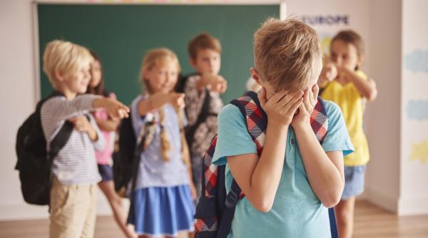 procedura privind managementul cazurilor de violenta in scoli a fost pusa in consultare publica anunta ministerul educatiei